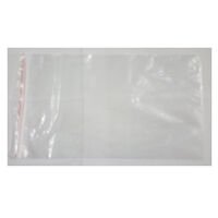 Seasickness Bag