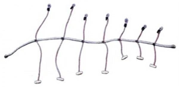 Yelken sarma lastiği (ahtapot) 8MMX200CM