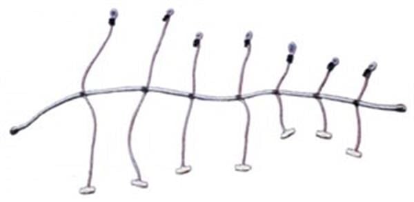 Yelken sarma lastiği (ahtapot) 8MMX300CM