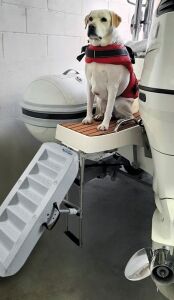 Paws-Up Tekne Köpek Merdiveni