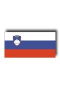 Slovenian Bayrak 20 X 30Cm
