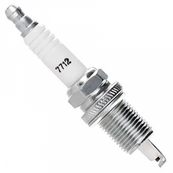 Champion 7712 Marin Buji